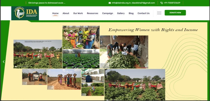 IDA India website preview